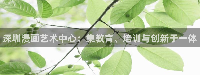 51漫画免费歪歪：深圳漫画艺术中心：集教育、培训与创新于一体