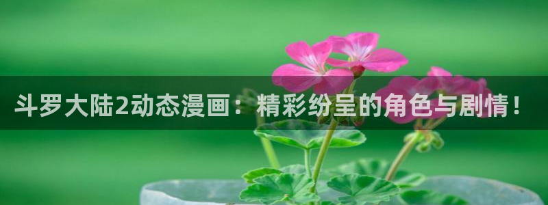51漫画之家官网：斗罗大陆2动态漫画：精彩纷呈的角色与剧情！