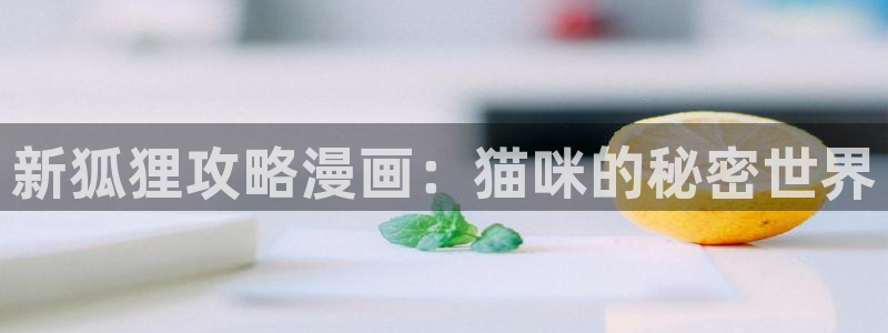 51漫画大全免费：新狐狸攻略漫画：猫咪的秘密世界