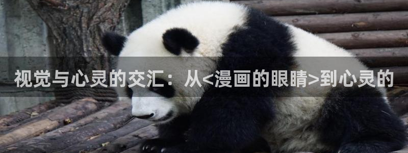 51漫画3d漫画软件免费：视觉与心灵的交汇：从<漫画的眼睛>到心灵的