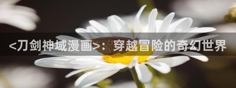 51漫画漫画首页在线看免费入口：<刀剑神域漫画>：穿越冒险的奇幻世界